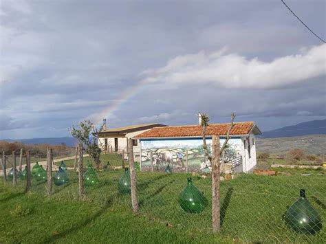 masseria pietrascritta|Fattoria...